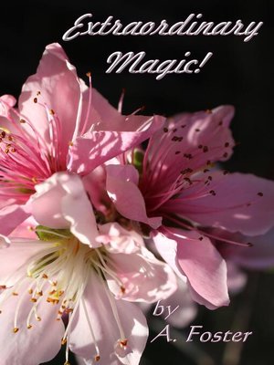 cover image of Extraordinary Magic